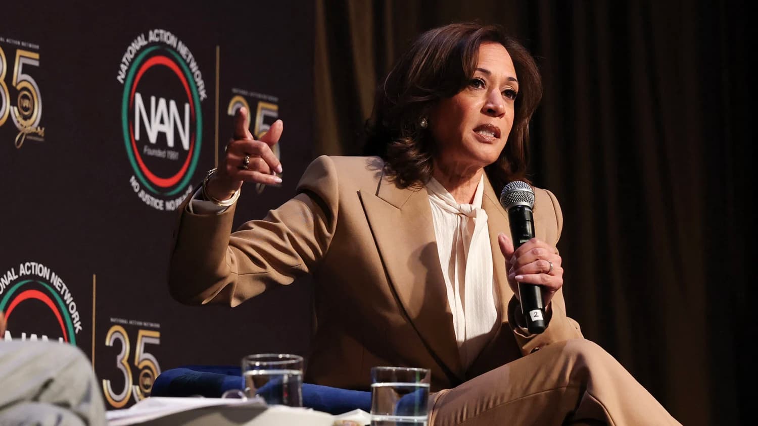 Democratic National Committee Autopsy Report Blames Strategic Failures for Kamala Harris’s 2024 Defeat